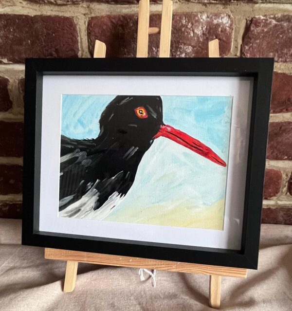 Oystercatcher mounted and framed