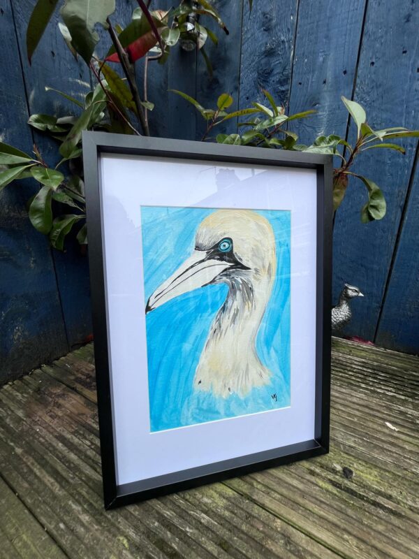 Gannet painting