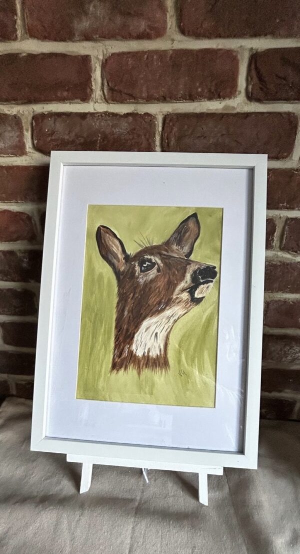 Roe Deer Mounted & Framed