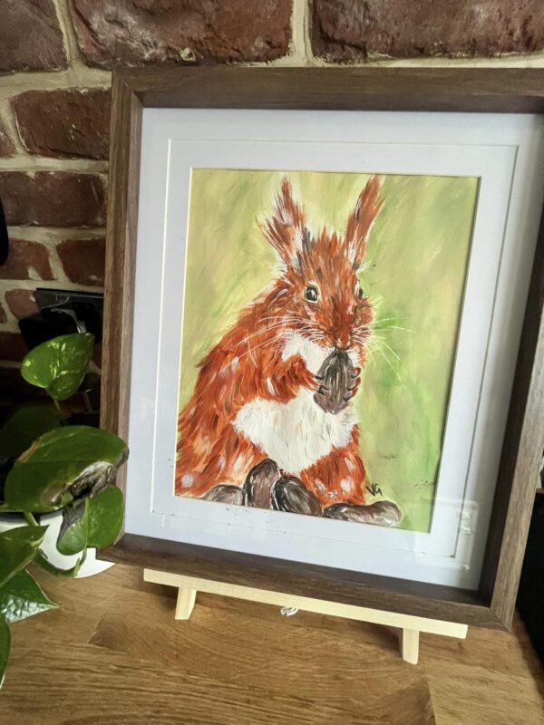 Squirrel Mounted & Framed