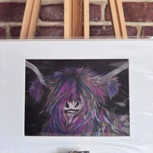 A5 Mounted Print of McTavish Coo