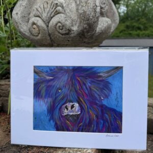 A5 Mounted print of Fergus Coo