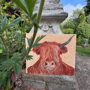 Argyle Coo original artwork on canvas