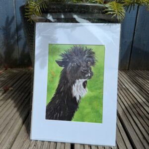 A5 Mounted Alpaca Flapjack