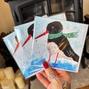 Olive Oystercatcher Christmas Card